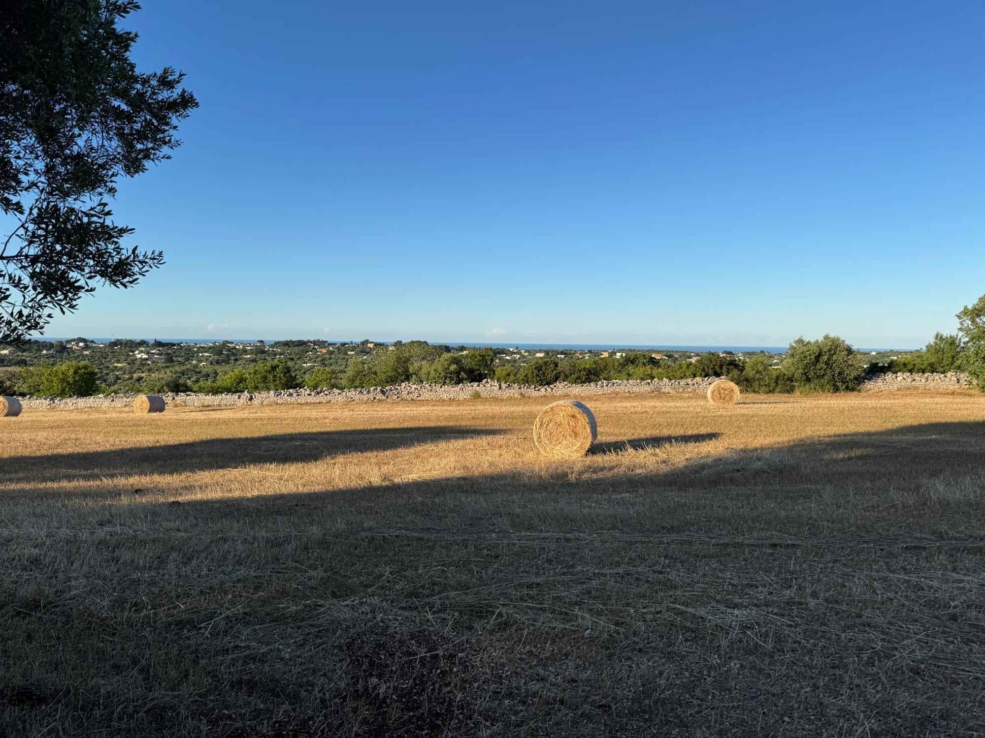 Villa Mastronardi Monopoli Buitenkant foto